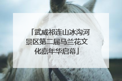 武威祁连山冰沟河景区第二届马兰花文化嘉年华启幕