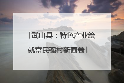 武山县：特色产业绘就富民强村新画卷