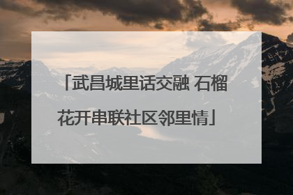 武昌城里话交融 石榴花开串联社区邻里情