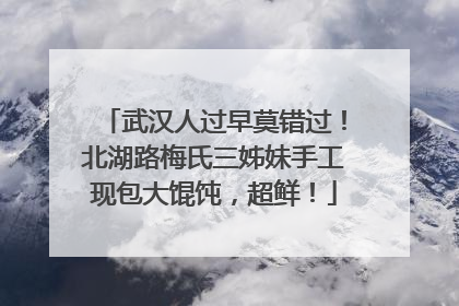 武汉人过早莫错过！北湖路梅氏三姊妹手工现包大馄饨，超鲜！