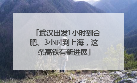 武汉出发1小时到合肥、3小时到上海，这条高铁有新进展