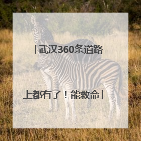 武汉360条道路上都有了！能救命