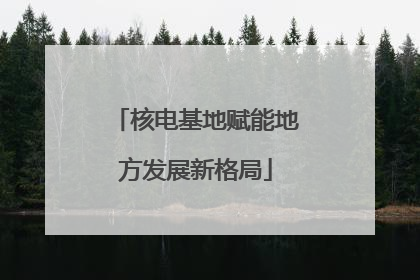 核电基地赋能地方发展新格局