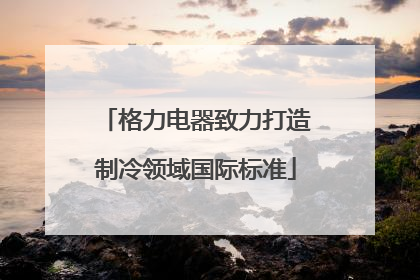 格力电器致力打造制冷领域国际标准