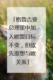 格鲁吉亚总理重申加入欧盟目标不变，但欲先重塑与欧关系