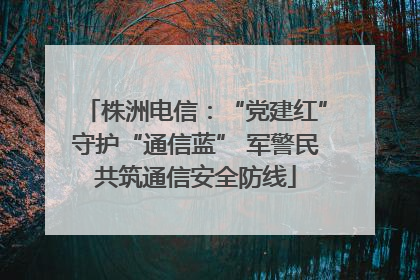 株洲电信：“党建红”守护“通信蓝” 军警民共筑通信安全防线