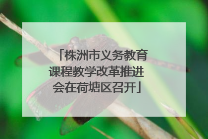 株洲市义务教育课程教学改革推进会在荷塘区召开