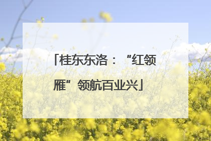 桂东东洛：“红领雁”领航百业兴