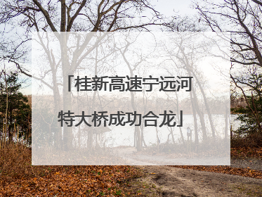 桂新高速宁远河特大桥成功合龙