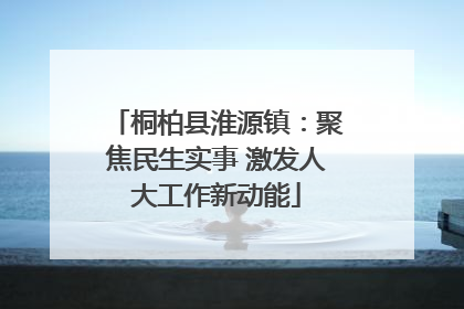 桐柏县淮源镇：聚焦民生实事 激发人大工作新动能
