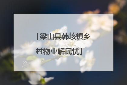 梁山县韩垓镇乡村物业解民忧