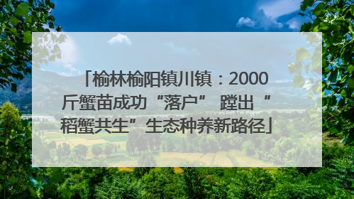 榆林榆阳镇川镇：2000斤蟹苗成功“落户” 蹚出“稻蟹共生”生态种养新路径