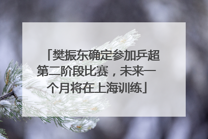 樊振东确定参加乒超第二阶段比赛，未来一个月将在上海训练