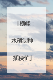 横峰：水稻制种插秧忙