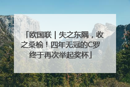 欧国联｜失之东隅，收之桑榆！四年无冠的C罗终于再次举起奖杯
