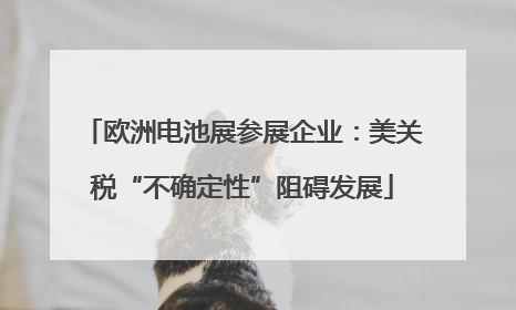 欧洲电池展参展企业：美关税“不确定性”阻碍发展