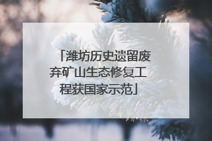 潍坊历史遗留废弃矿山生态修复工程获国家示范
