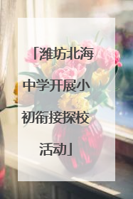 潍坊北海中学开展小初衔接探校活动