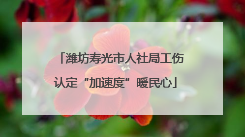 潍坊寿光市人社局工伤认定“加速度”暖民心