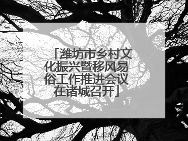 潍坊市乡村文化振兴暨移风易俗工作推进会议在诸城召开