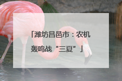潍坊昌邑市：农机轰鸣战“三夏”