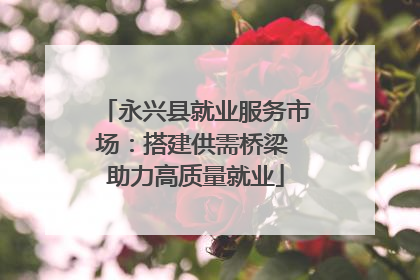 永兴县就业服务市场：搭建供需桥梁 助力高质量就业