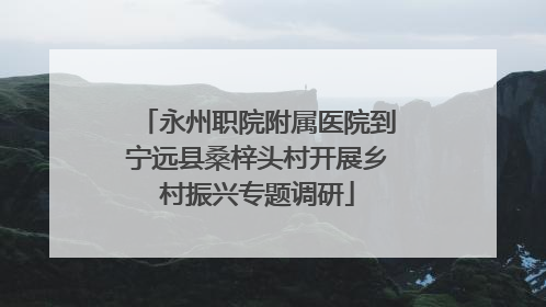永州职院附属医院到宁远县桑梓头村开展乡村振兴专题调研