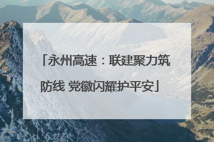 永州高速：联建聚力筑防线 党徽闪耀护平安