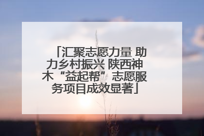汇聚志愿力量 助力乡村振兴 陕西神木“益起帮”志愿服务项目成效显著