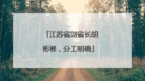 江苏省副省长胡彬郴，分工明确