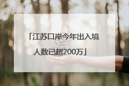 江苏口岸今年出入境人数已超200万