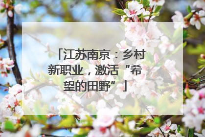 江苏南京：乡村新职业，激活“希望的田野”