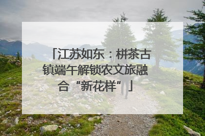 江苏如东：栟茶古镇端午解锁农文旅融合“新花样”