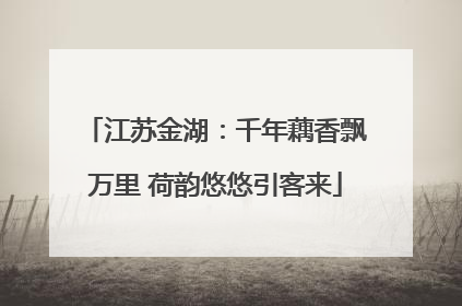 江苏金湖：千年藕香飘万里 荷韵悠悠引客来