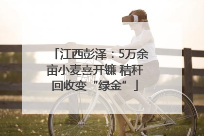 江西彭泽：5万余亩小麦喜开镰 秸秆回收变“绿金”