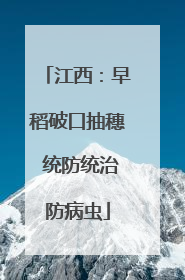 江西：早稻破口抽穗 统防统治防病虫