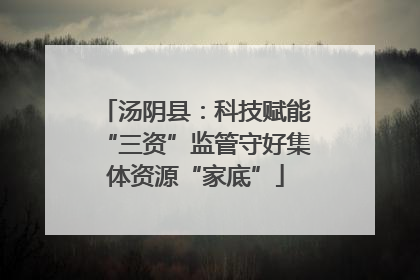 汤阴县：科技赋能“三资”监管守好集体资源“家底”