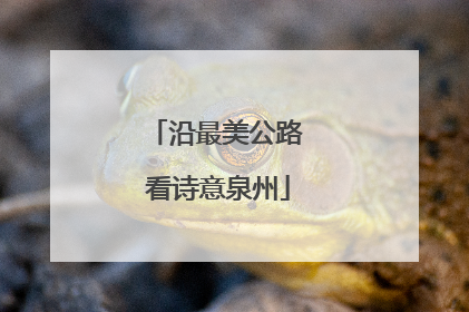 沿最美公路 看诗意泉州