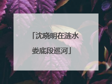 沈晓明在涟水娄底段巡河