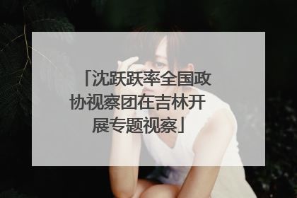 沈跃跃率全国政协视察团在吉林开展专题视察