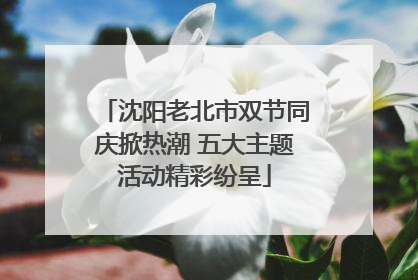 沈阳老北市双节同庆掀热潮 五大主题活动精彩纷呈