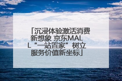 沉浸体验激活消费新想象 京东MALL“一站置家”树立服务价值新坐标