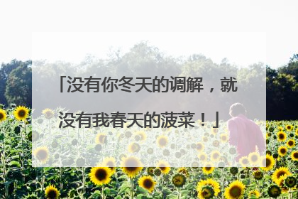 没有你冬天的调解，就没有我春天的菠菜！