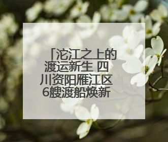 沱江之上的渡运新生 四川资阳雁江区6艘渡船焕新“上岗”