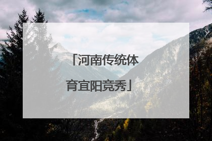 河南传统体育宜阳竞秀