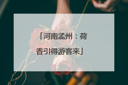 河南孟州：荷香引得游客来