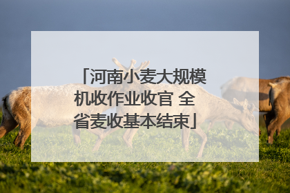河南小麦大规模机收作业收官 全省麦收基本结束