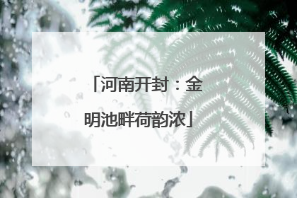 河南开封：金明池畔荷韵浓