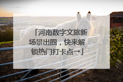 河南数字文旅新场景出圈，快来解锁热门打卡点→