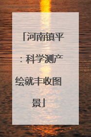 河南镇平：科学测产绘就丰收图景